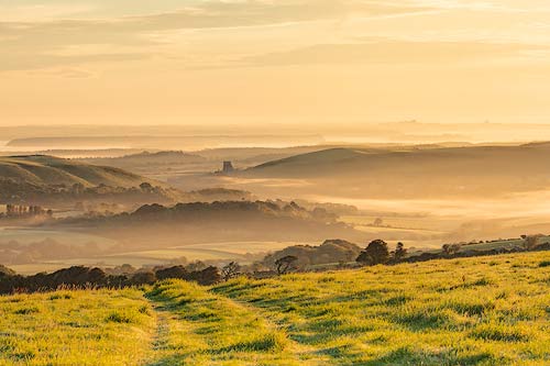 Purbeck View