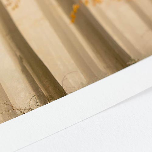 Fine Art Printing One-to-One Workshop