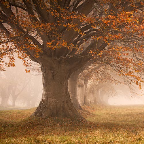 Dorset - Coast & Country Workshop
