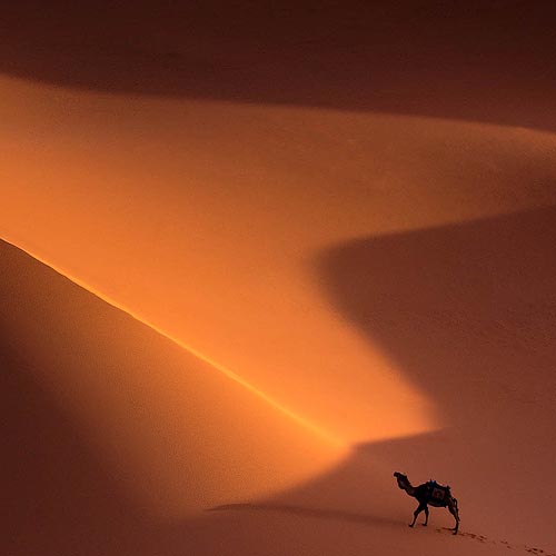 Shutter & Spice - A Vibrant Moroccan Journey