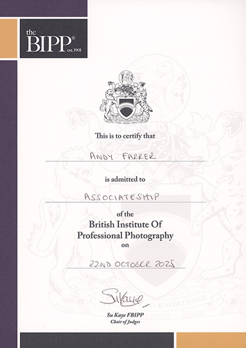 BIPP Qualification
