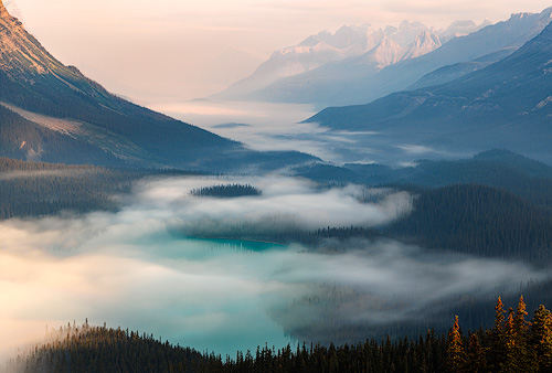 Misty Dawn at Peyto