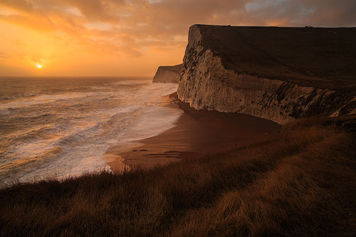 Overall Winner of LPOTY 2015