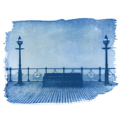 cyanotype - lockdown series