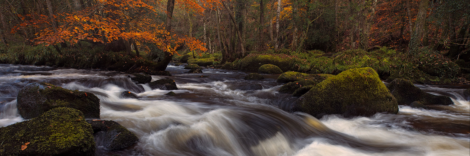 Andy Farrer Photography