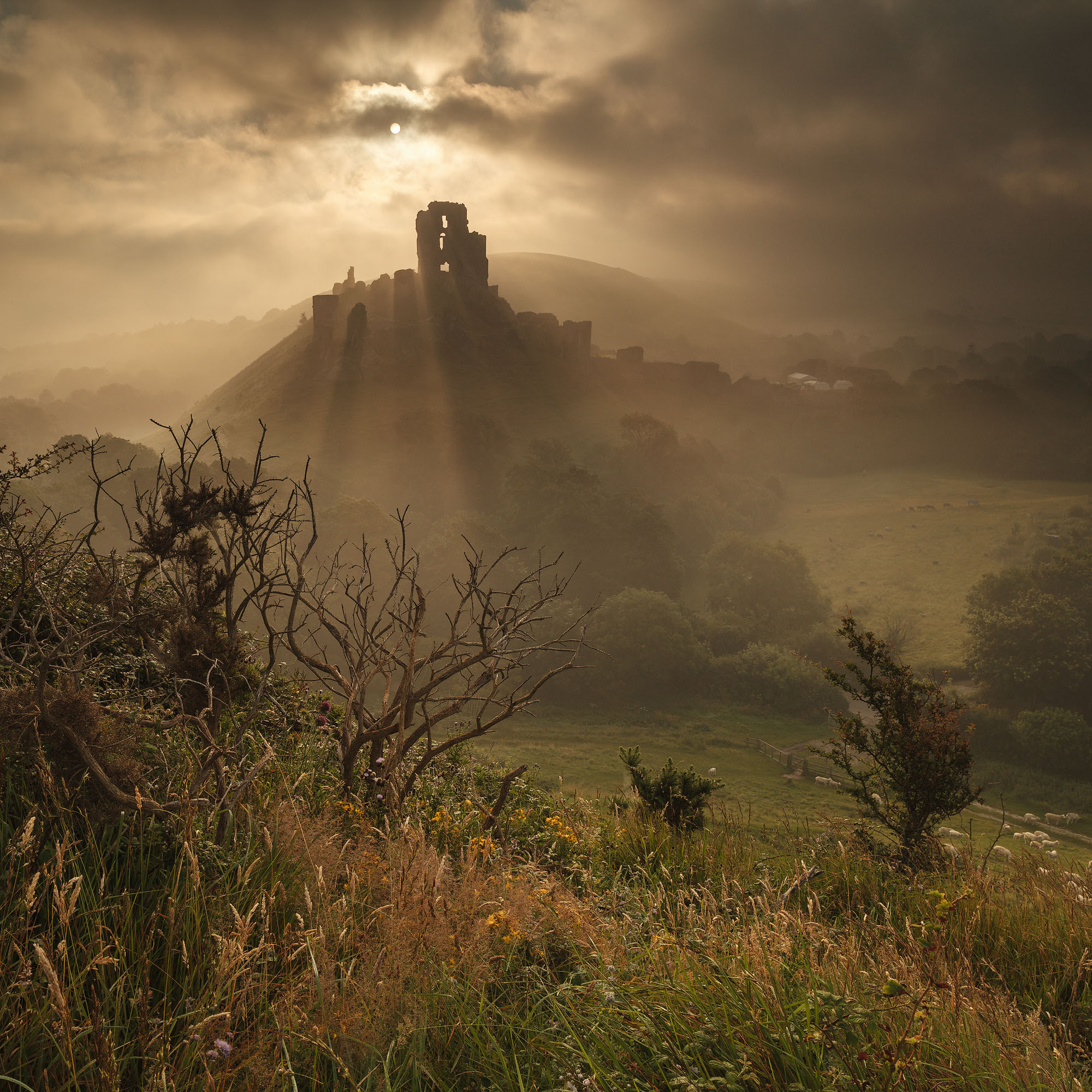 Summer Mist at Corfe Castle